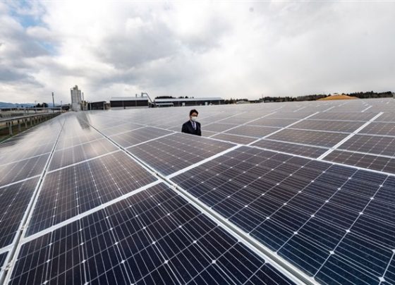 malaysia-urges-solar-companies-to-explore-asean-markets-as-us-tariffs-take-effect