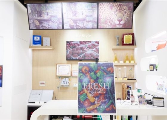 e-ink-expands-into-large-format-color-e-paper-displays-amid-three-key-challenges-in-2025