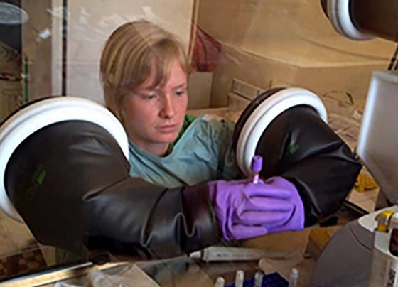 developing-a-toolkit-to-assess-efficacy-of-ebola-vaccines-and-therapeutics
