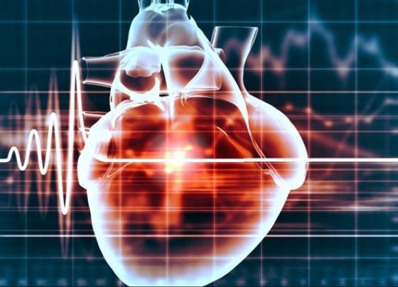Dassault-Achieves-Breakthrough-With-Digital-Twins-For-Heart-Research