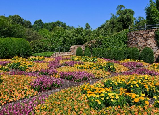national-parks-offering-free-admission-this-april—find-out-when