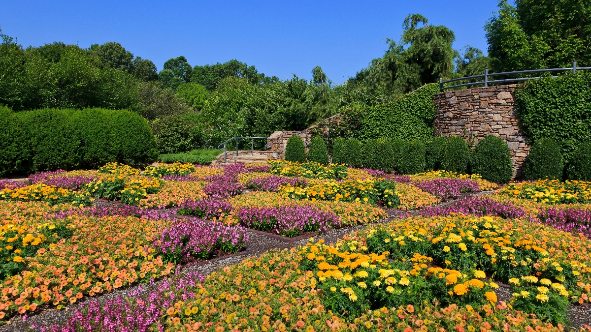 National Parks Offering Free Admission This April—Find Out When