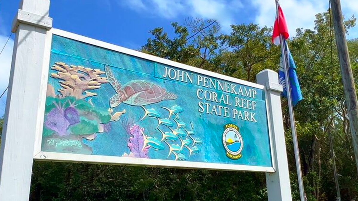 6 Things to Do in Key Largo—From the Snorkeling to Sunset Cruises
