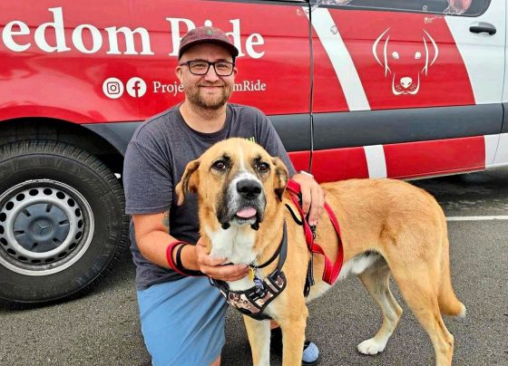little-boy’s-mission-has-saved-5,000+-dogs-from-kill-shelters