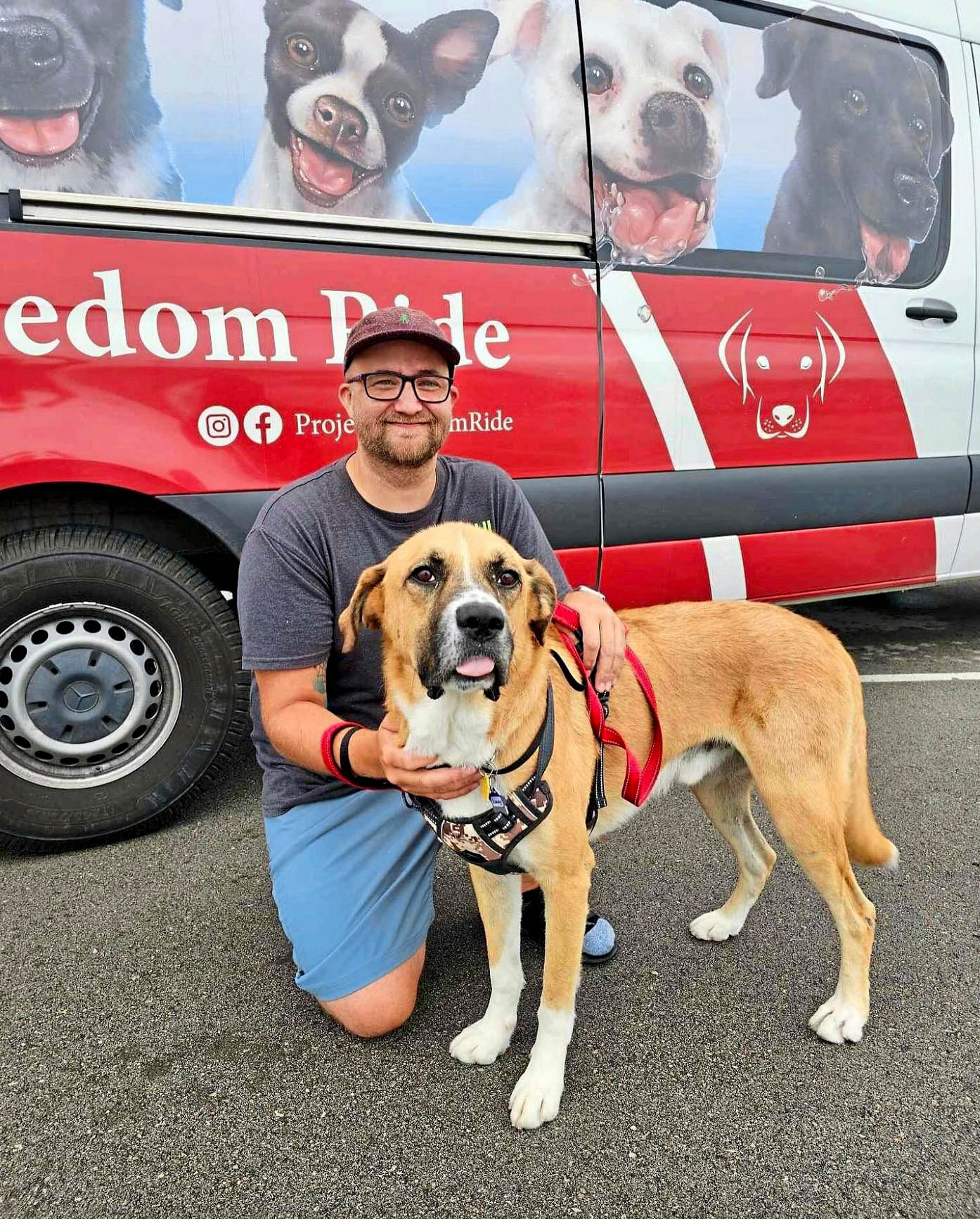Little Boy’s Mission Has Saved 5,000+ Dogs From Kill Shelters