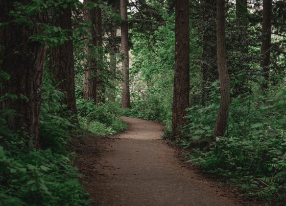 keep-looking-up:-a-reflection-on-our-path-forward