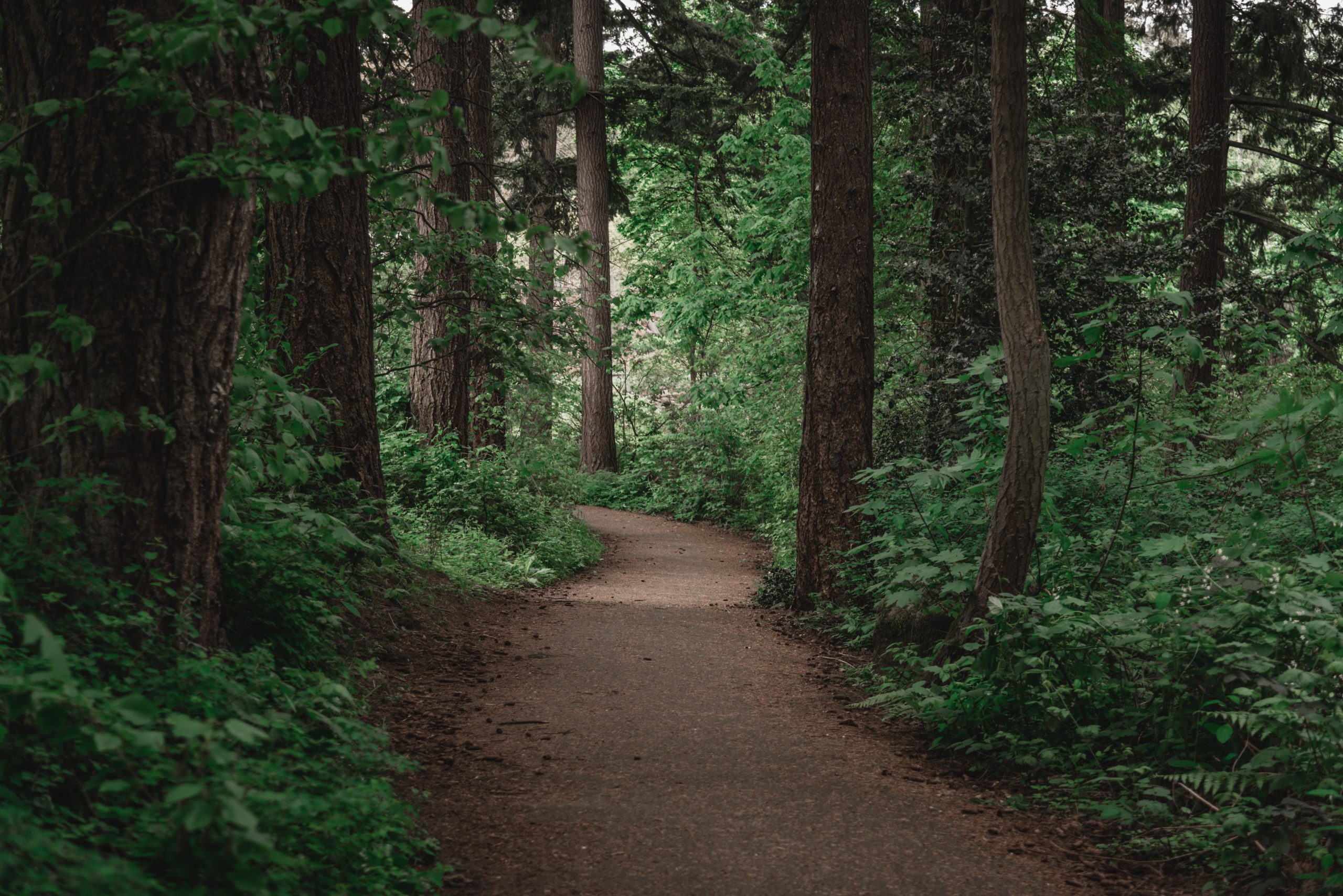 Keep Looking Up: A Reflection on Our Path Forward