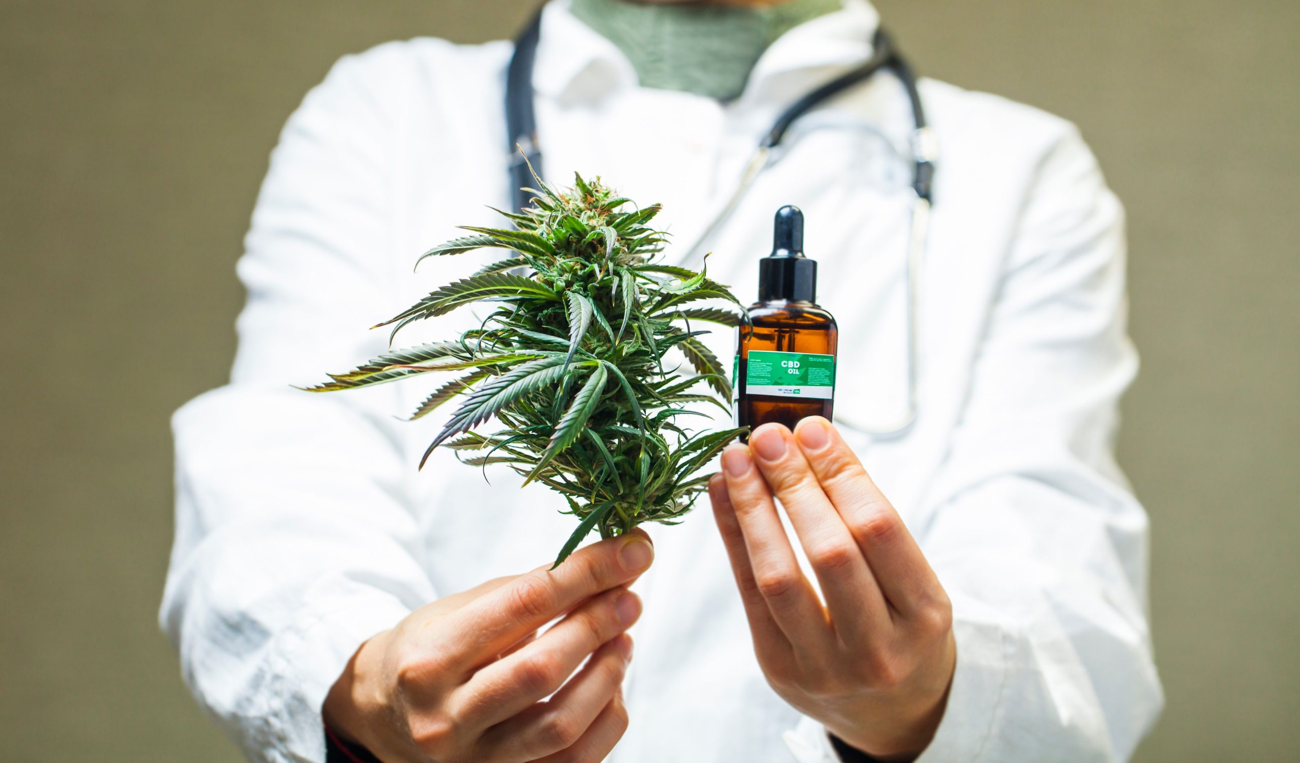 Real-World Data Suggests Cannabis Use is Associated With Major Adverse Cardiovascular Events