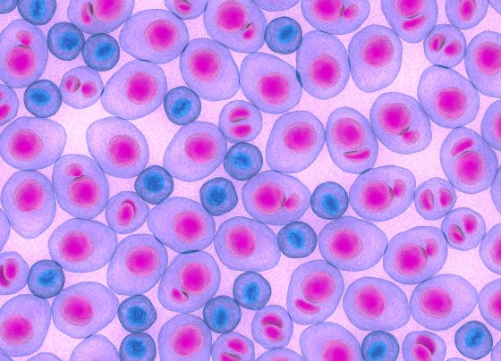 continuous-subcutaneous-lenalidomide-shows-promise-in-reducing-toxicity-in-r/r-multiple-myeloma