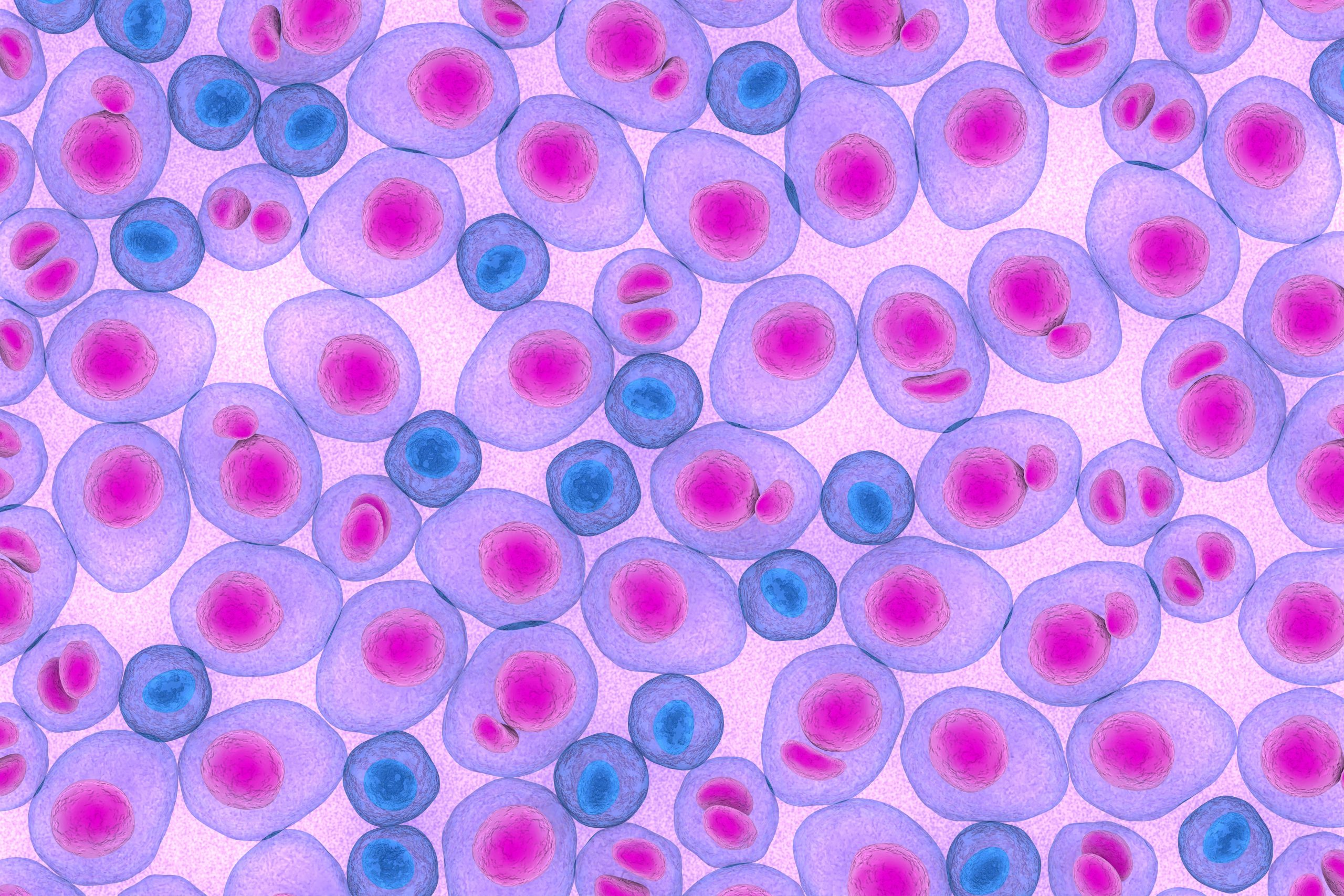Continuous Subcutaneous Lenalidomide Shows Promise in Reducing Toxicity in R/R Multiple Myeloma