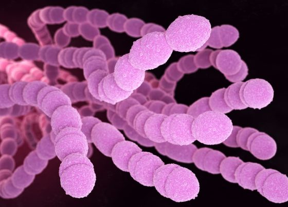 21-valent-pneumococcal-conjugate-vaccine-exhibits-consistent-safety-and-immunogenicity-across-manufacturing-lots