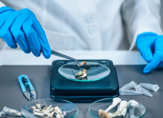 investigating-the-pharmacist’s-role-in-psychedelic-assisted-psychotherapy-for-patients-with-cancer