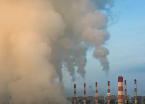 ‘false-solutions’-undermine-climate-goals-at-shein,-lululemon