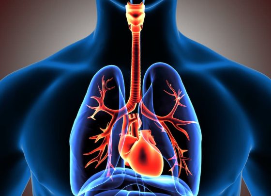 lung-transplant-recipients-at-high-risk-of-secondary-lung-infections-post-infection-with-sars-cov-2-omicron-variant