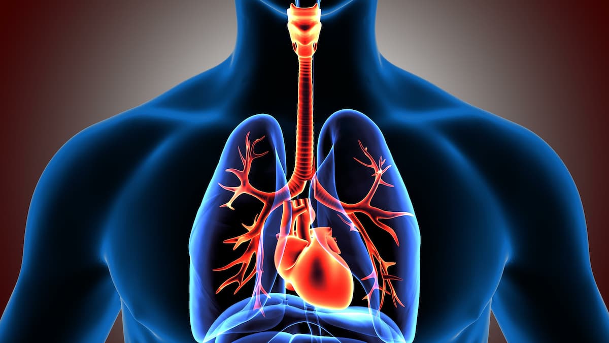 Lung Transplant Recipients at High Risk of Secondary Lung Infections Post-Infection With SARS-CoV-2 Omicron Variant
