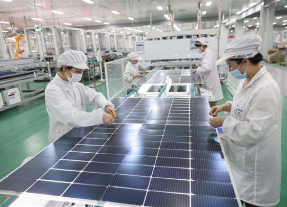 trump-solar-crackdown-unlikely-to-benefit-non-chinese-firms-due-to-patent-warfare