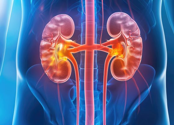 efepoetin-alfa-noninferior-to-mircera-when-correcting-anemia,-maintaining-hemoglobin-in-ckd