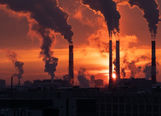 study:-high-long-term-exposure-to-fine-particulate-air-pollution-is-associated-with-diffuse-myocardial-fibrosis