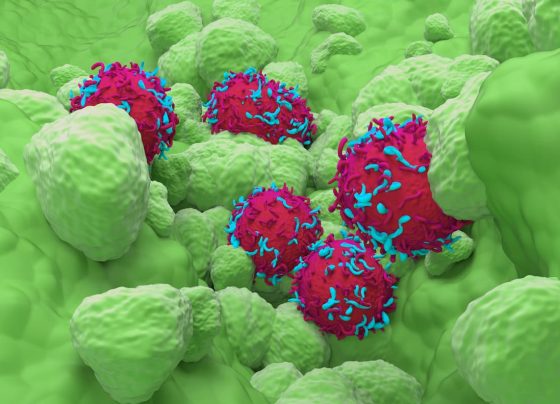 sunvozertinib-approved-by-fda-as-oral-treatment-of-nsclc-with-egfr-exon-20-insertion-mutations