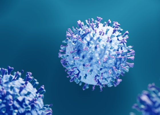 evolving-strategies-for-rsv:-understanding-respiratory-and-cardiovascular-impacts,-prevention,-and-future-directions