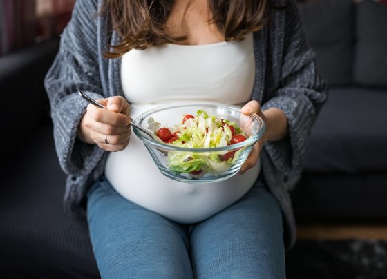 maternal-pro-inflammatory-diet-during-pregnancy-linked-to-increased-type-1-diabetes-risk-in-offspring