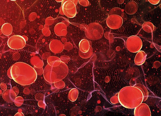 hematologic-highlights-from-asco-2025:-cartitude-1-and-starglo