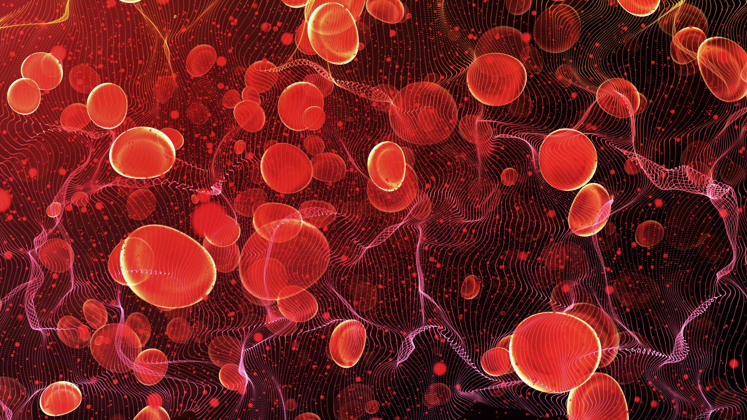 Hematologic Highlights from ASCO 2025: CARTITUDE-1 and STARGLO
