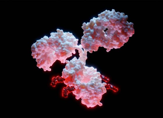 adjuvant-trastuzumab-emtansine-plus-trastuzumab-improved-disease-free,-overall-survival-in-her2+-early-breast-cancer