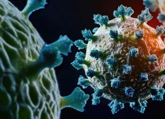 targeting-the-integrated-stress-response-through-a-platform-for-antiviral-drug-discovery-against-zika,-herpes,-and-rsv