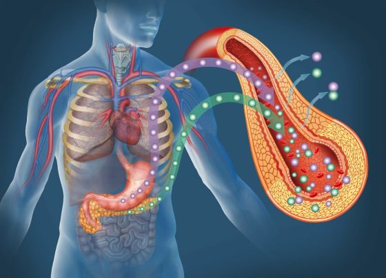 finerenone-and-the-future-of-diabetes-related-kidney-care
