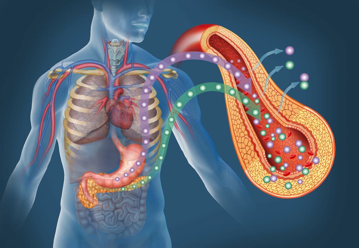 Finerenone and the Future of Diabetes-Related Kidney Care