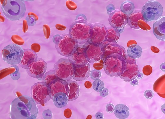 imcheck’s-ict01-earns-fda-orphan-drug-designation-for-aml