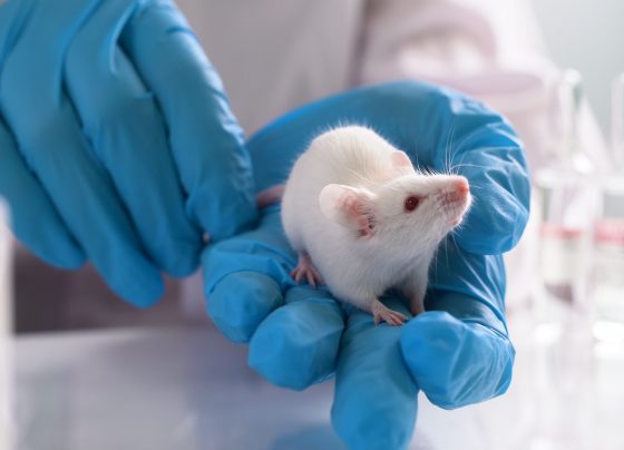 fda-moving-to-nonanimal-testing-methodologies-in-preclinical-research