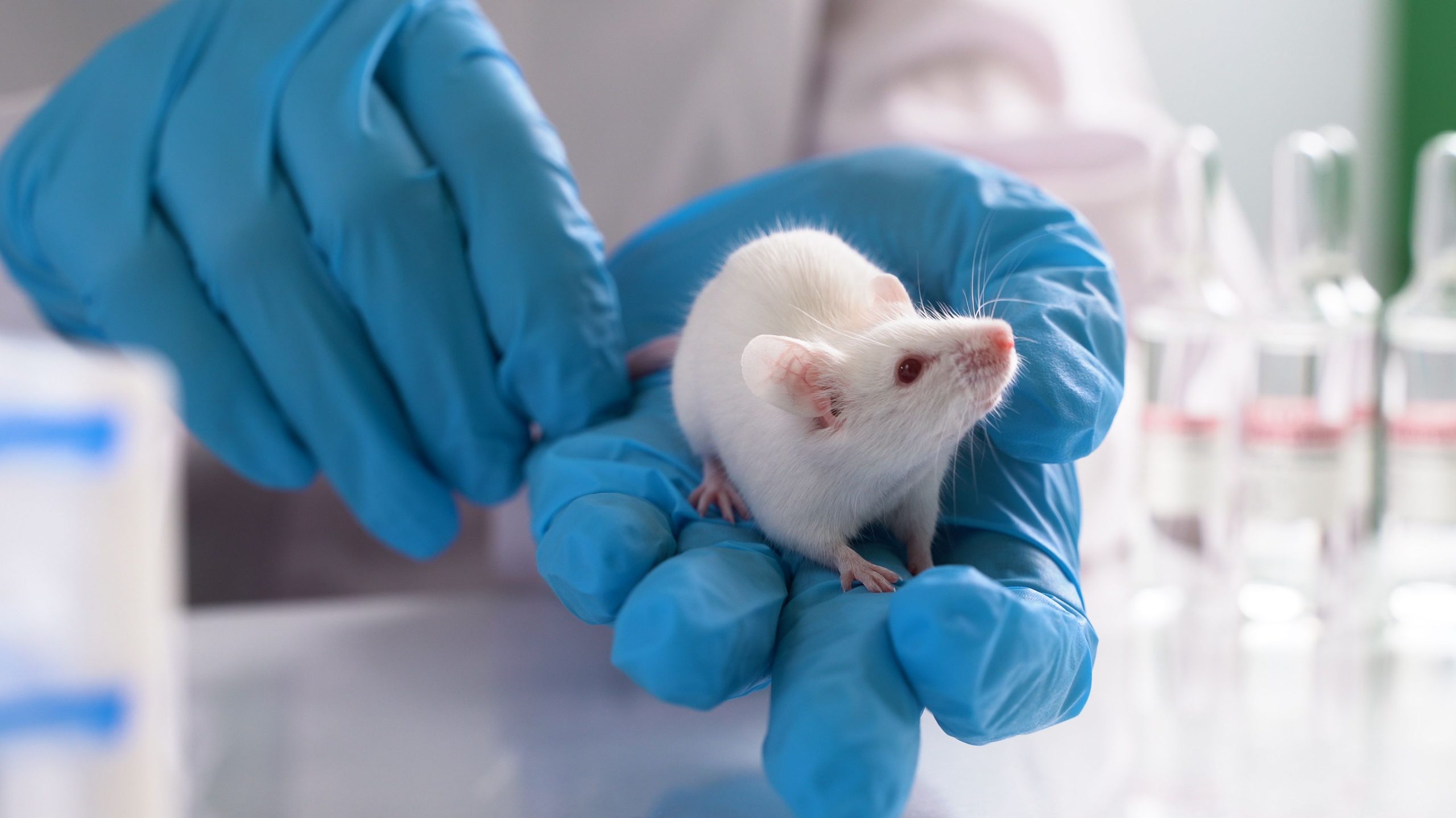 FDA Moving to Nonanimal Testing Methodologies in Preclinical Research