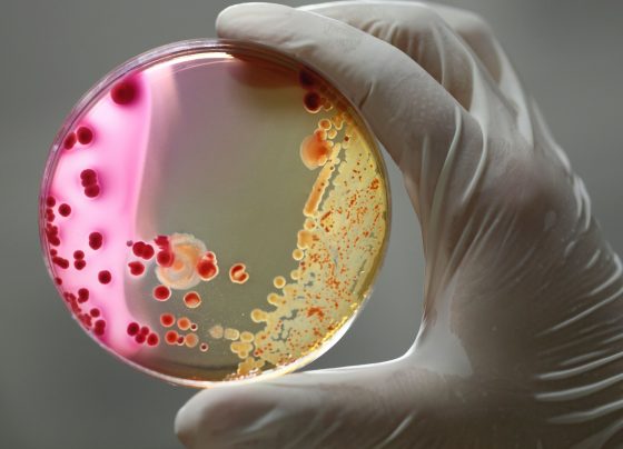 a-review-of-oral-cephalosporins-for-common-outpatient-infections