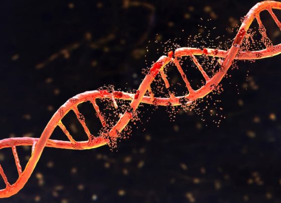 fda-approves-sepiapterin-for-adults,-children-living-with-phenylketonuria