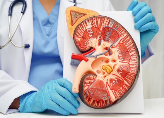 olc-demonstrates-safety-and-tolerability-in-patients-with-ckd-and-hyperphosphatemia
