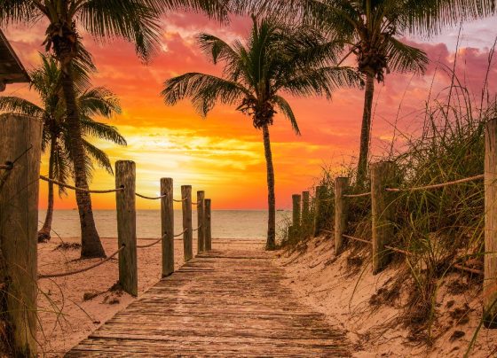 win-free-food,-trips-and-cash-in-august-giveaways—here’s-how-to-enter!