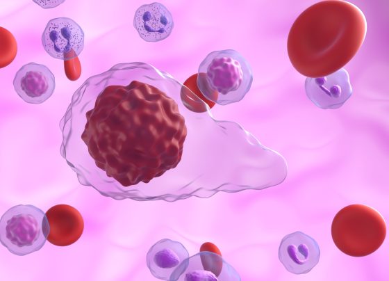 luspatercept-aamt-shows-clinically-meaningful-benefits-in-reducing-transfusion-burden-and-increasing-hemoglobin