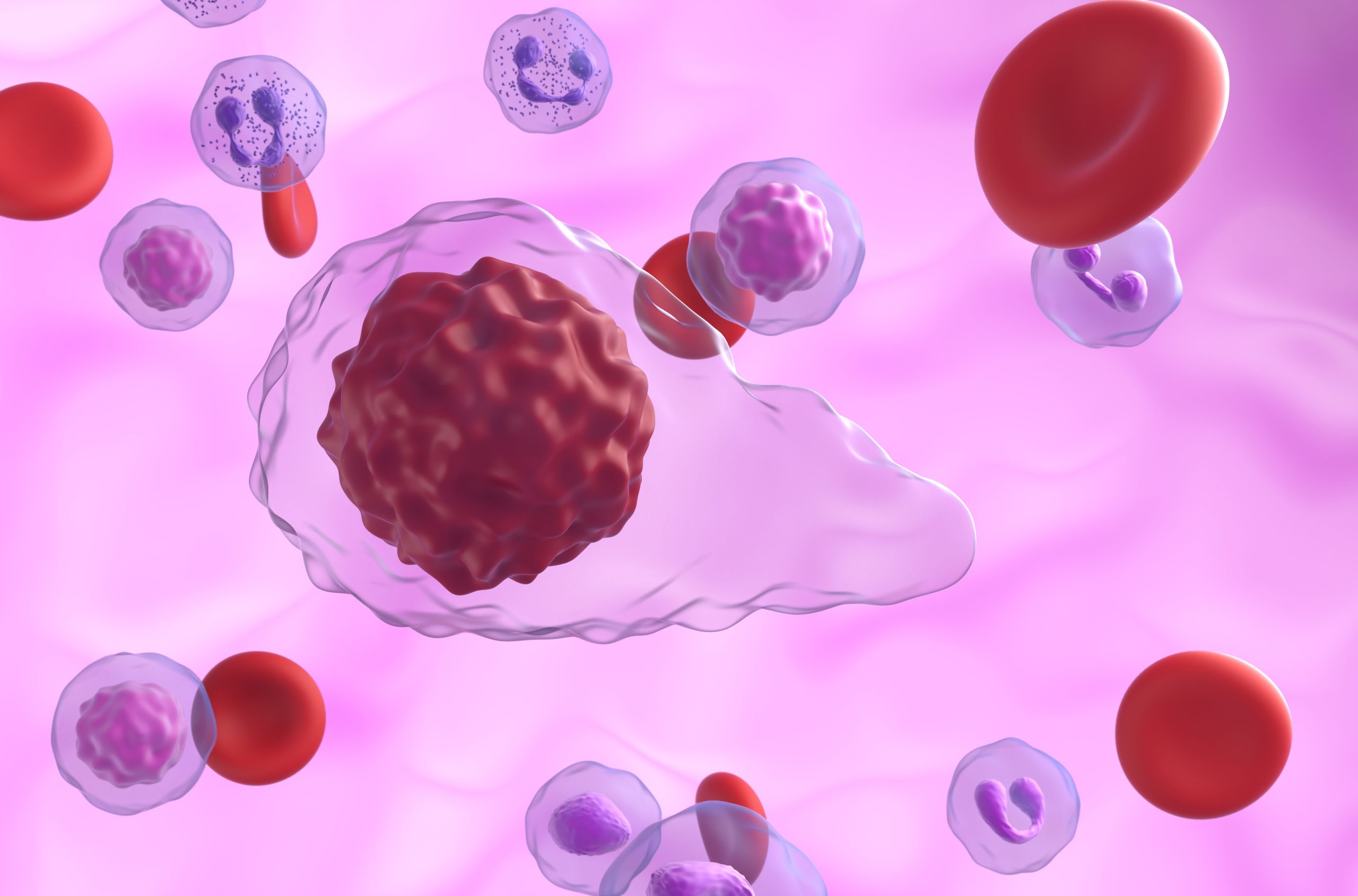 Luspatercept-Aamt Shows Clinically Meaningful Benefits in Reducing Transfusion Burden and Increasing Hemoglobin