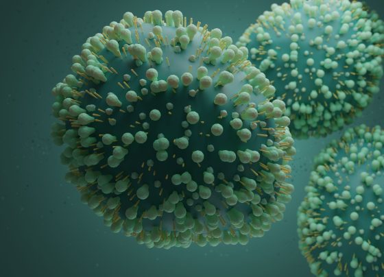 researchers-assess-cardiovascular-outcomes-in-older-adults-hospitalized-with-respiratory-syncytial-virus