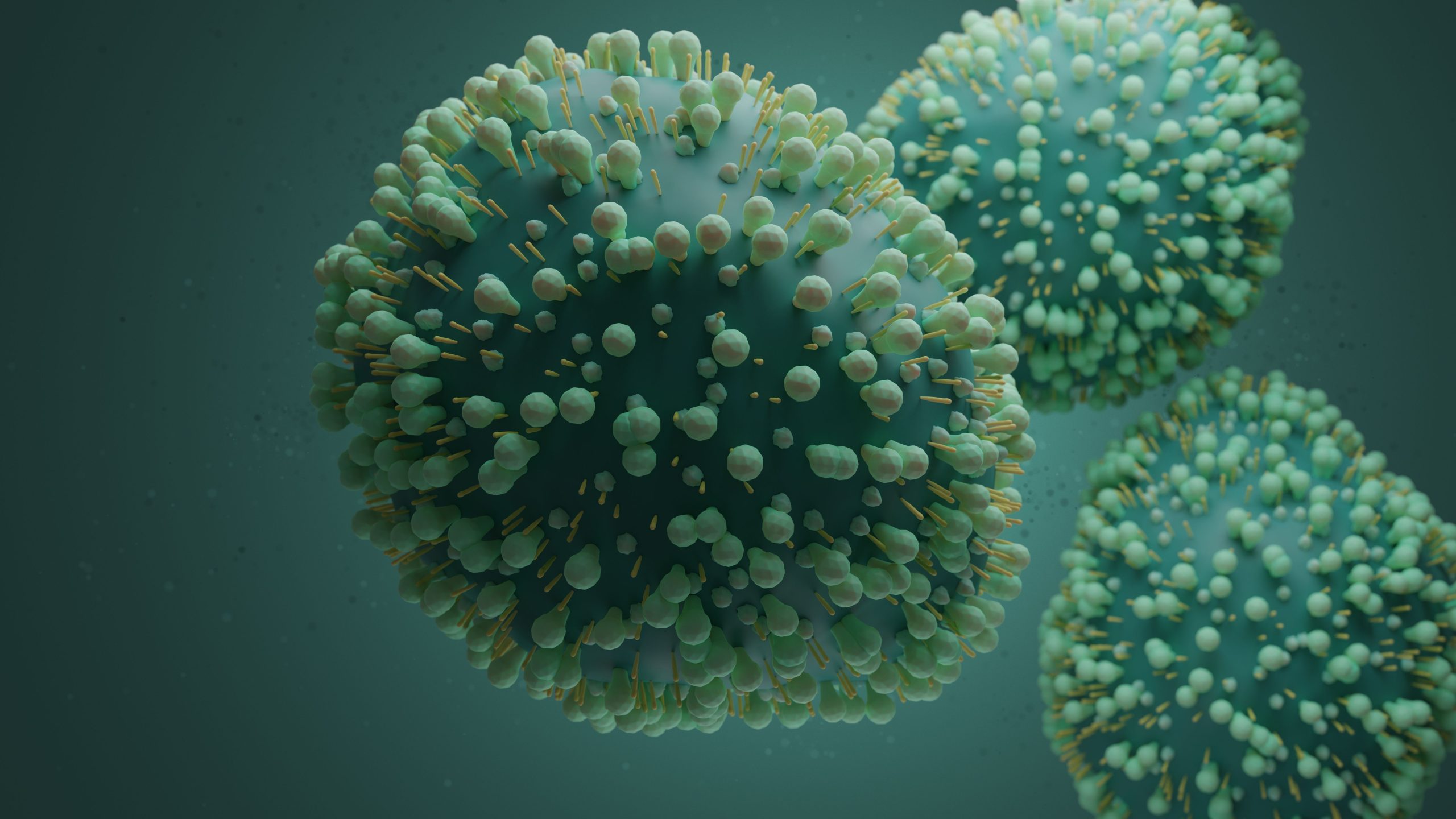 Researchers Assess Cardiovascular Outcomes in Older Adults Hospitalized with Respiratory Syncytial Virus