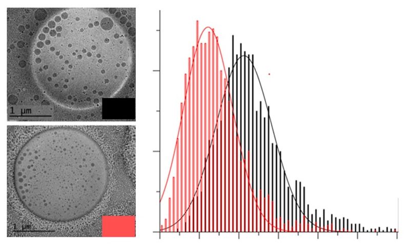 Streamlining analysis of ion channel in vitro assays data to support clinical cardiac safety decision-making