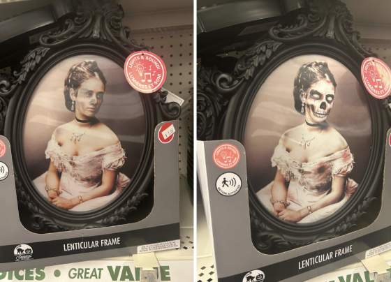 i-looked-for-the-viral-dollar-tree-ghost-mirror-&-found-a-$7-dupe