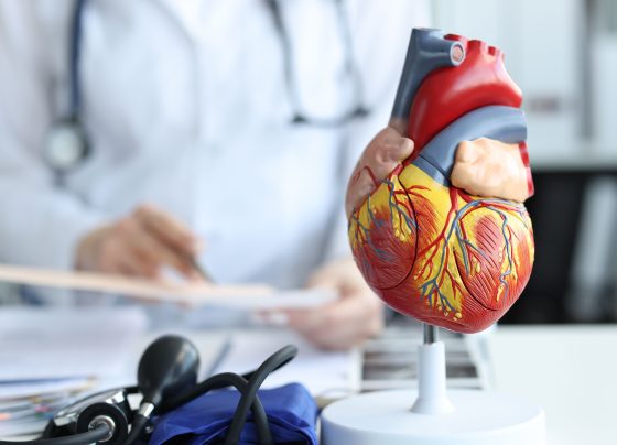 strategies-to-improve-cardiovascular-health,-manage-obesity-are-evolving-rapidly
