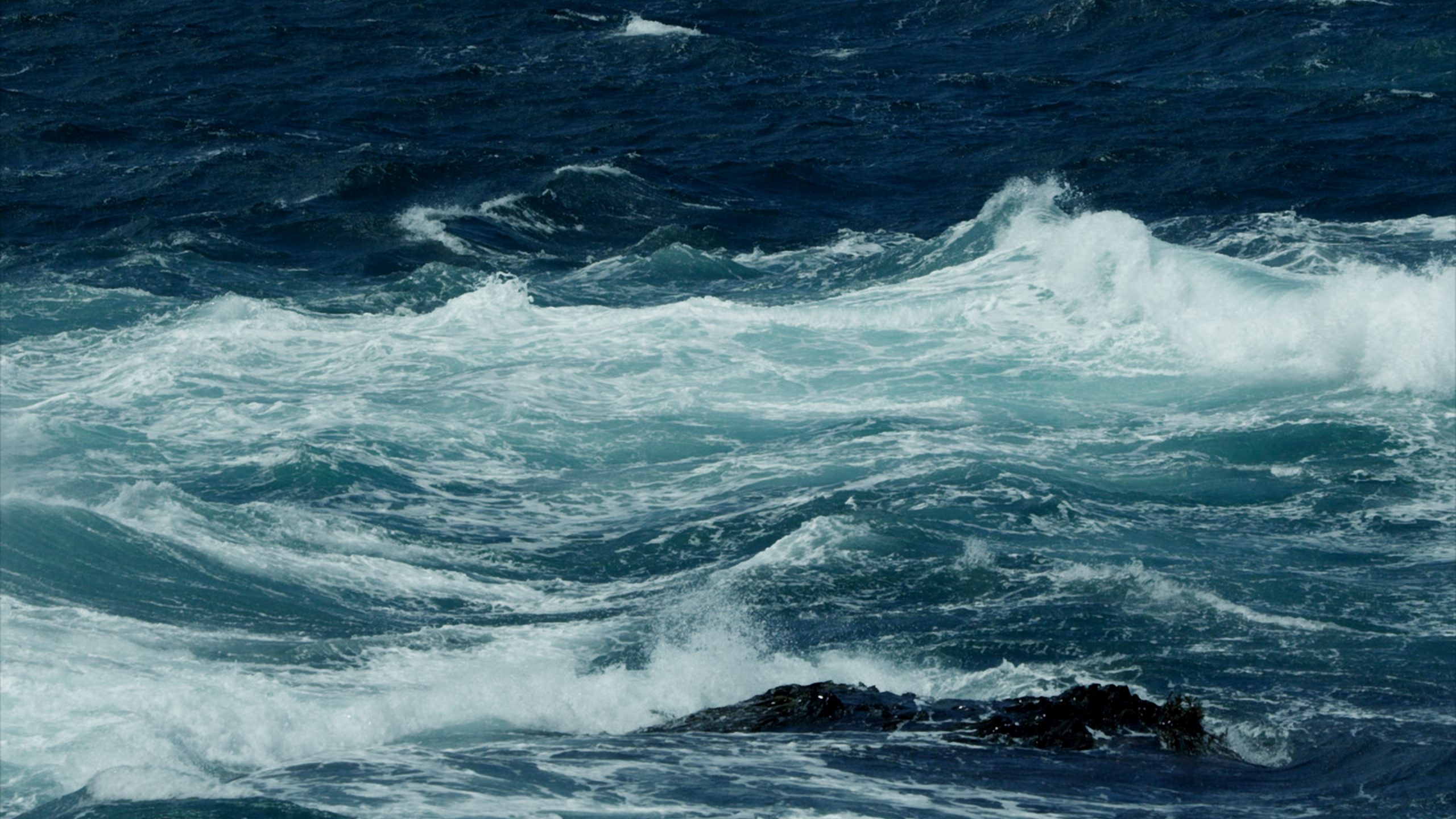 A Scientist Says He Cracked the Mystery of the Bermuda Triangle