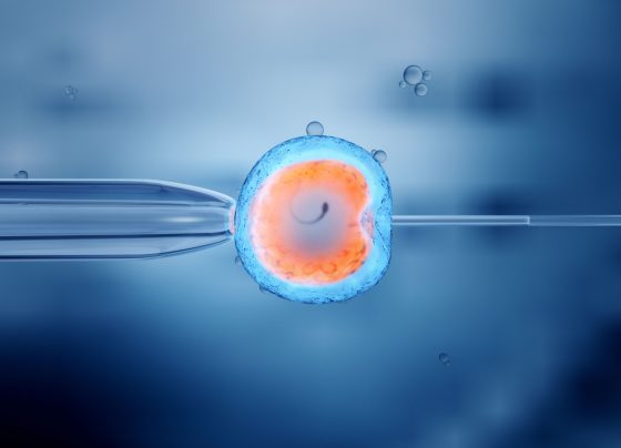 weight-loss-could-aid-ivf-fertility-outcomes-in-women-with-obesity