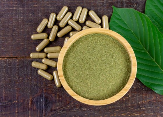 pharmacists’-knowledge-gaps-on-kratom:-building-competence-for-patient-counseling