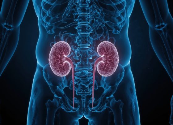 patient-perceptions-support-co-management-of-chronic-kidney-disease