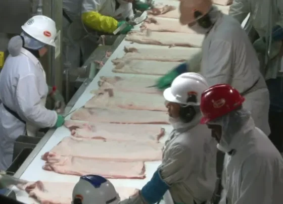 tyson-adjusts-beef-production-in-face-of-low-supply,-healthy-demand